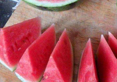 什么什么里奥冒险 